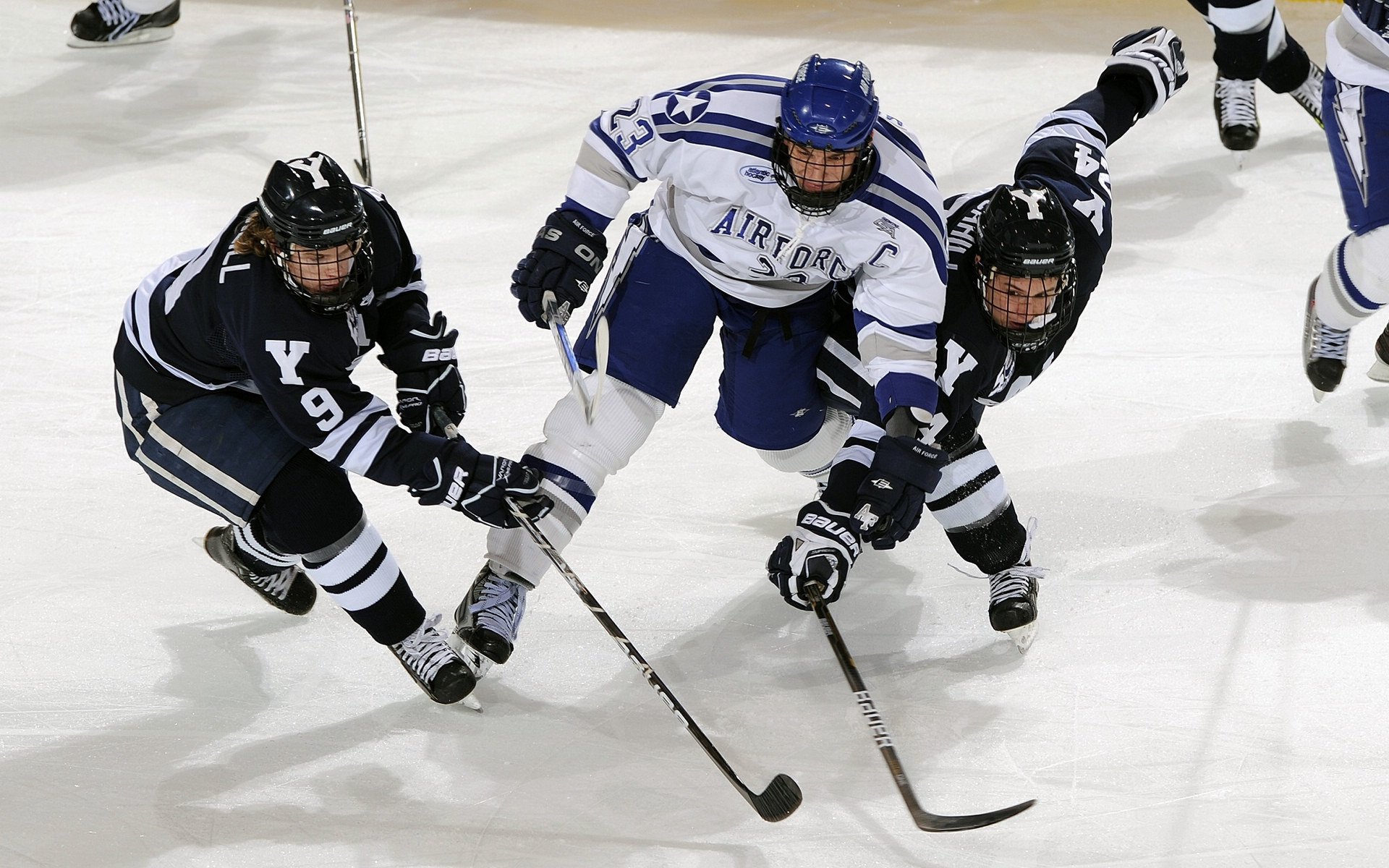 高地风暴与三狮之吼，维尼修斯用实力在英伦德比中为自己加冕